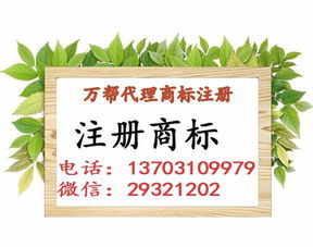 邯鄲公司注冊(cè) 內(nèi)資公司注冊(cè) 領(lǐng)取營業(yè)執(zhí)照等 無地址辦人力資源專業(yè)